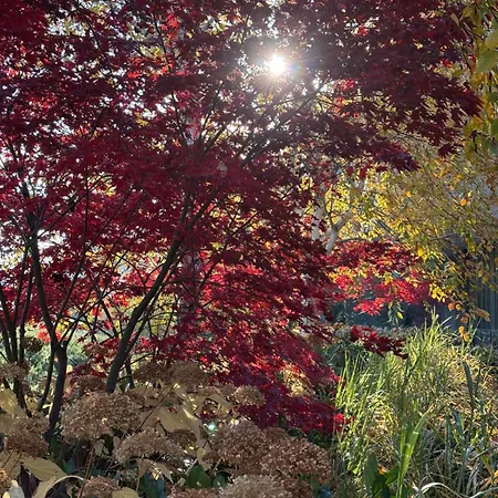 Riverside Industrial - Sauna - Gym -air-conditioning-spa-fitness Bed & Breakfast