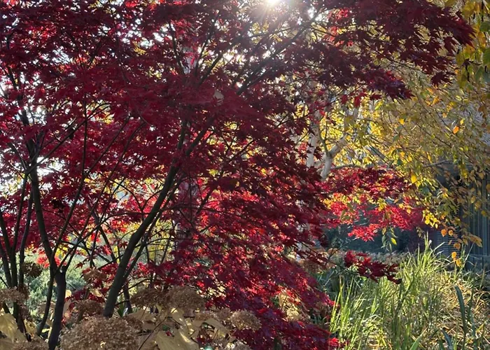 Riverside Industrial - Sauna - Gym -air-conditioning-spa-fitness Bed & Breakfast