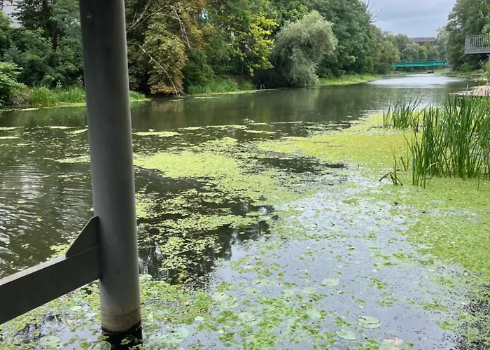 Riverside Industrial - Sauna - Gym -air-conditioning-spa-fitness ベッド・アンド・ブレックファスト 4*